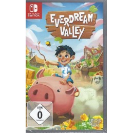 Everdream Valley - Nintendo...