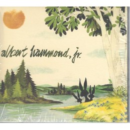 Albert Hammond Jr. - Yours...