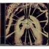 Brothers of the Head - Light The Night, Feel The Flame - CD - Neu / OVP