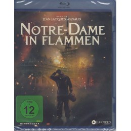 Notre-Dame in Flammen -...