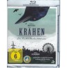 Krähen - Die Natur beobachtet uns - BluRay - Neu / OVP