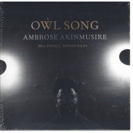 Ambrose Akinmusire - Owl...
