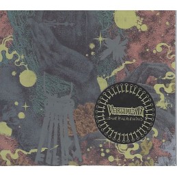 Vertilizar - Leave It All...