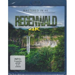 Regenwald - 4K Ultra HD -...